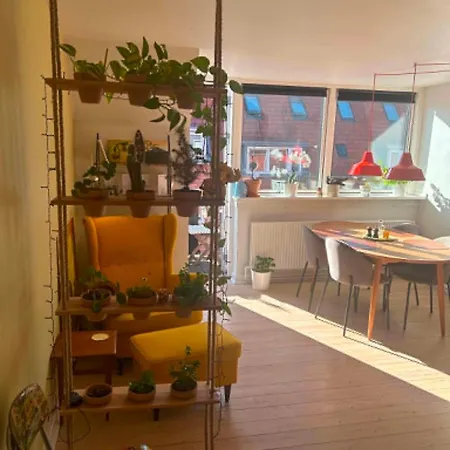 Bright, Colorful With A Balcony In The Heart Of Apartament *